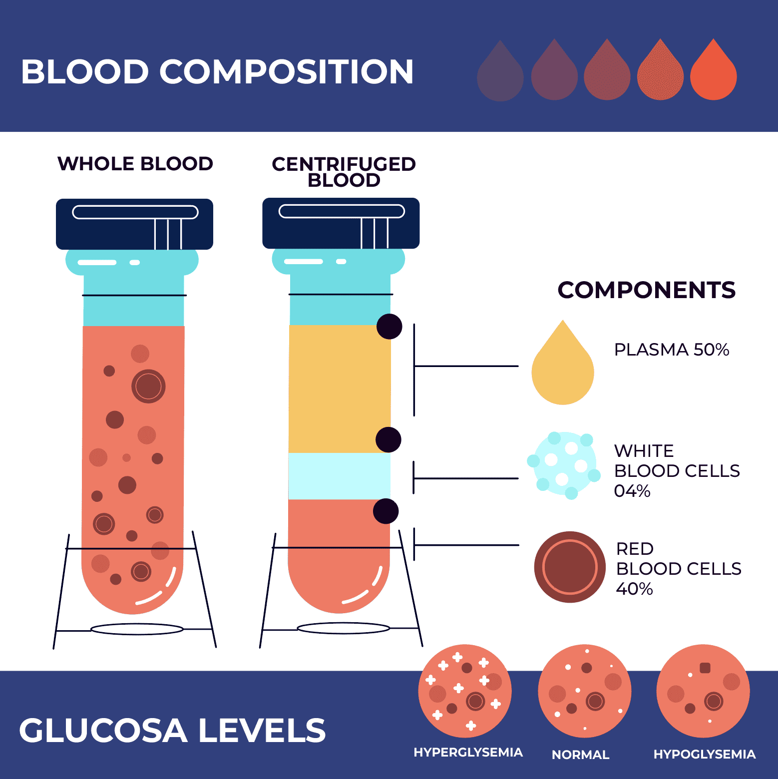 PRP therapy - Blood composition