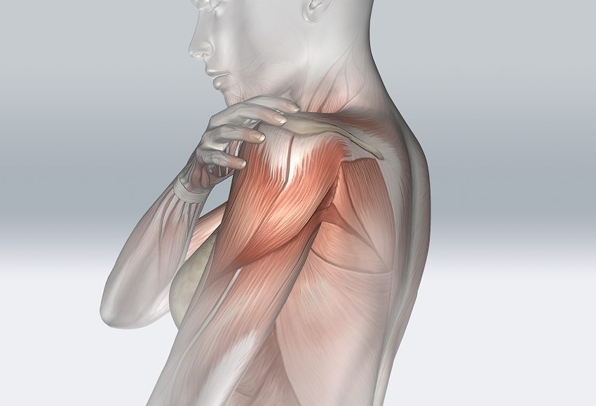 Shoulder Osteoarthritis